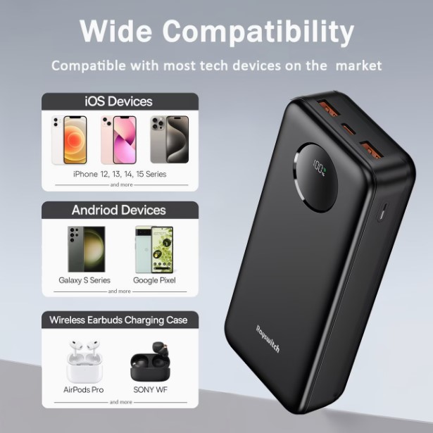 Rayswitch 30000mAh Portable Charger