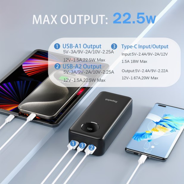 Rayswitch 30000mAh Portable Charger