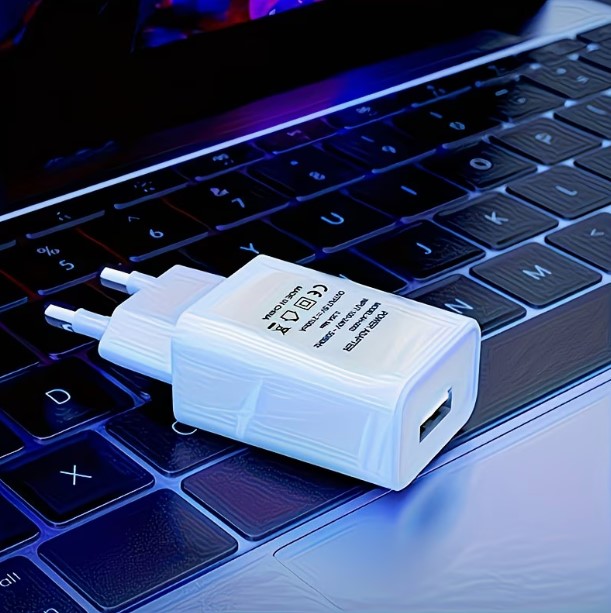 5V 2A White Standard Charger Brick