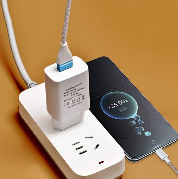 5V 2A White Standard Charger Brick