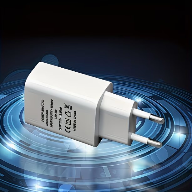 5V 2A White Standard Charger Brick